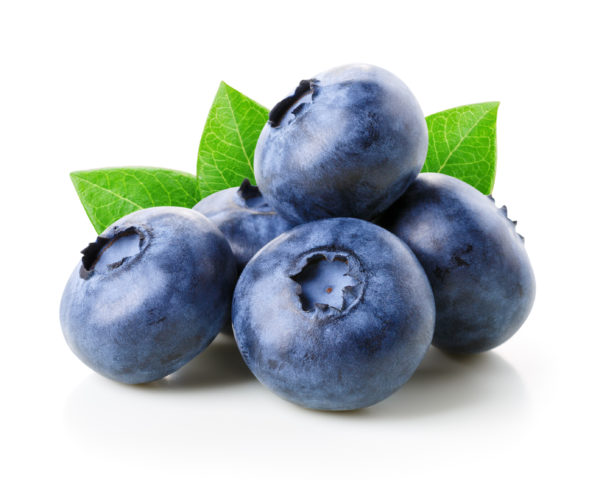 Blueberry Juice Single Strength (BBJN01F-0001-PA36)  in Pails