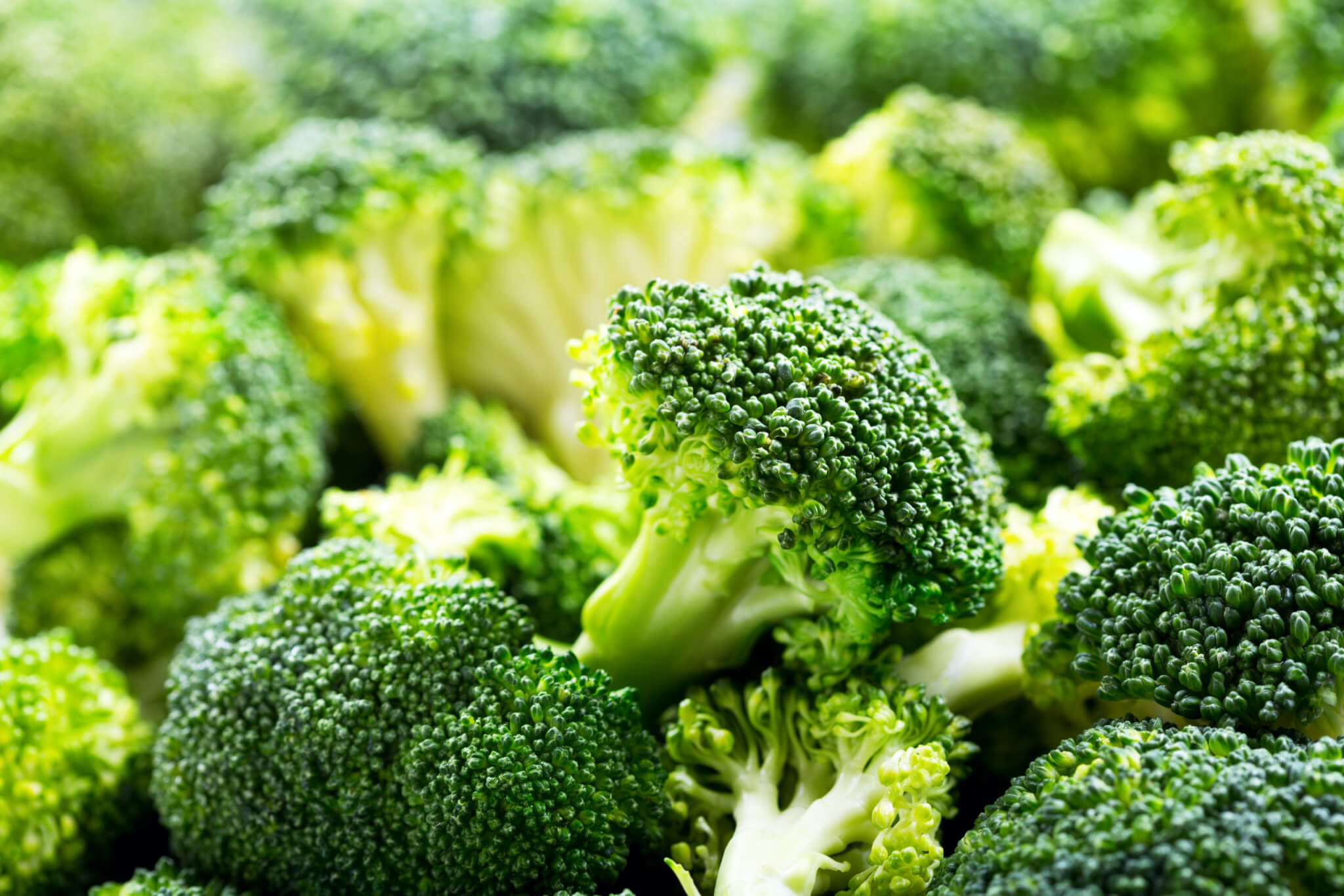 Organic Broccoli Puree